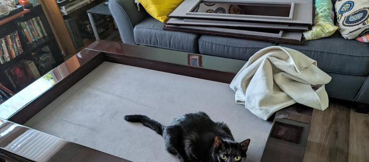 Cat on a Coffee Table - Carolina Game Tables